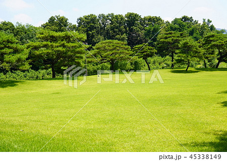 横 風景 韓国 45338149