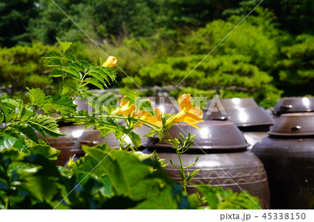 甕 安城市 試合 45338150