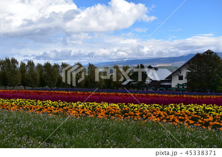 富良野のお花畑 富良野のお花畑 45338371