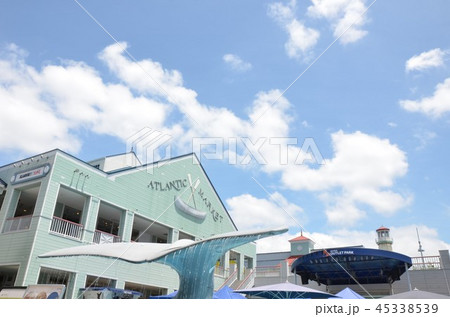 三井アウトレットパーク(横浜ベイサイドマリーナ) 45338539