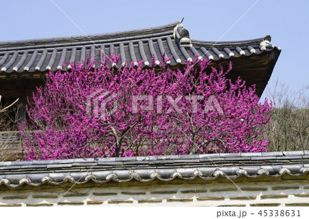 屏山書院 安東市 慶北 45338631