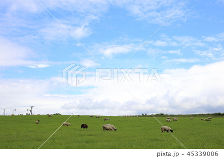 北海道 上川地方 牧場のある風景 北海道 上川地方 牧場のある風景 45339006