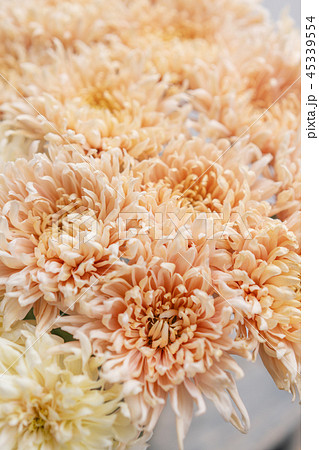 chrysanthemum yellow and pink pastel colors. bouquet in glass vase. concept of flower shop. chrysanthemum yellow and pink pastel colors. bouquet in glass vase. concept of flower shop. 45339554