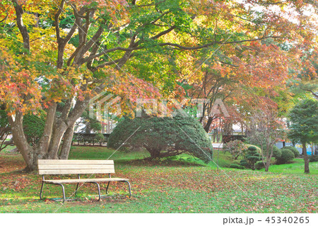 紅葉の中にあるベンチ 紅葉の中にあるベンチ 45340265