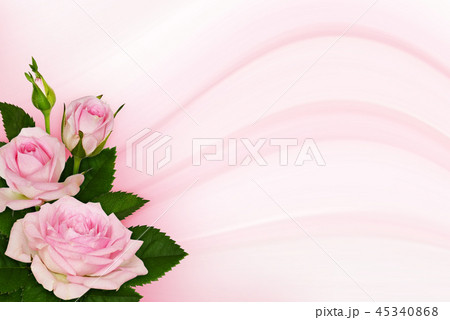 Pink rose flower and in corner arrangement 45340868