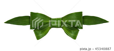 Closeup of green bow from fresh leaves Closeup of green bow from fresh leaves 45340887