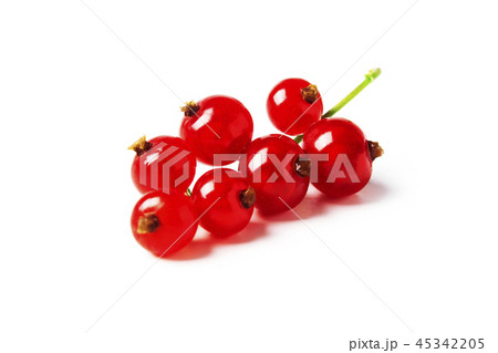 Red currant Red currant 45342205
