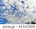 空 45342909