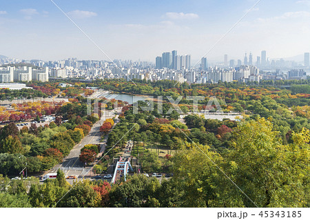 公園 風景 平和の公園 45343185
