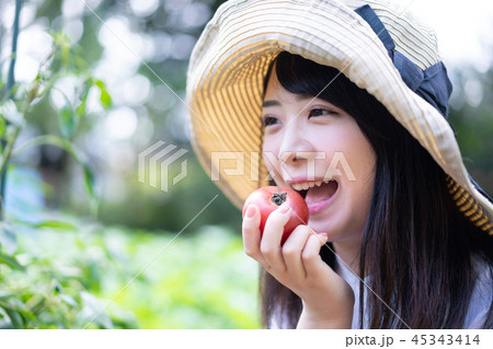 農業　野菜　生産者　収穫　トマト 45343414