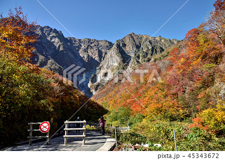 群馬県水上町　秋の谷川岳 一ノ倉沢の紅葉 45343672