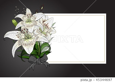 Lily bouquet on black background vector template 45344697