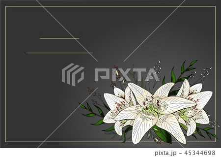 Lily bouquet on black background vector template 45344698
