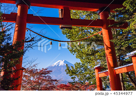 (山梨県)新倉山浅間神社から望む富士山 (山梨県)新倉山浅間神社から望む富士山 45344977