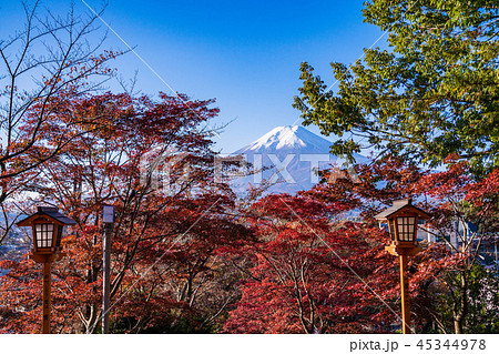 （山梨県）新倉山浅間神社から望む富士山 45344978