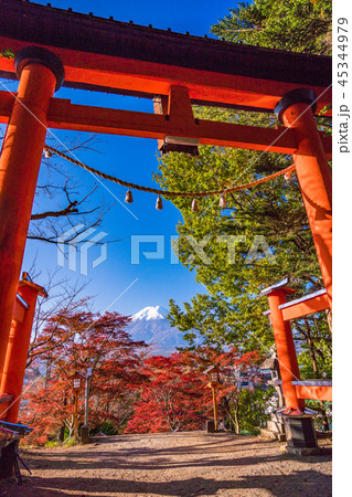 （山梨県）新倉山浅間神社から望む富士山 45344979