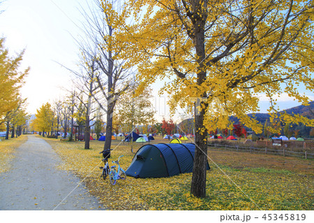 キャンプ キャンピング テント 45345819