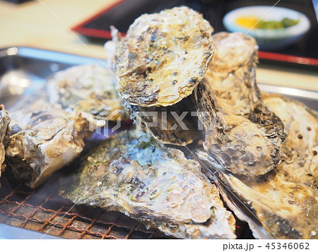 牡蠣 牡蠣 45346062