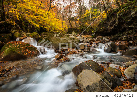 スッカン沢渓谷 紅葉 スッカン沢渓谷 紅葉 45346411