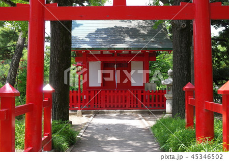 神社の鳥居 45346502