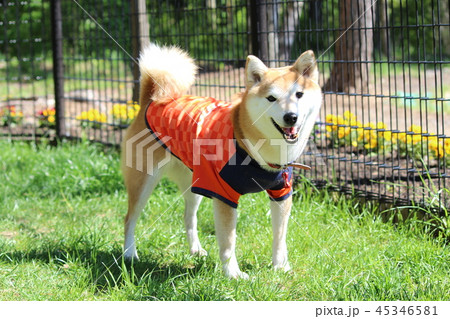 いつも笑顔で 45346581