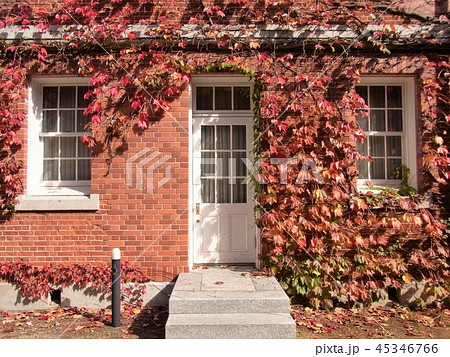 西南学院大学博物館 45346766