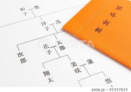 家系図　年金手帳　公的年金　年金受給者　未支給年金　世代間扶養　世代間格差 45347624