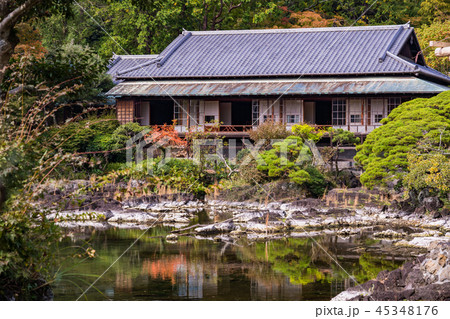 （静岡県）三島市楽寿園　小浜池と楽寿館 45348176