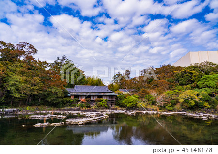 (静岡県)三島市楽寿園 小浜池と楽寿館 (静岡県)三島市楽寿園 小浜池と楽寿館 45348178