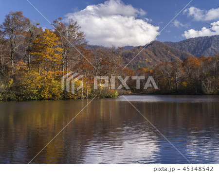 紅葉の鎌池（長野県） 45348542