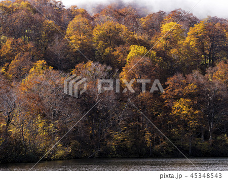 紅葉の鎌池(長野県) 紅葉の鎌池(長野県) 45348543