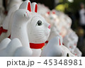 豪徳寺 招き猫04 45348981