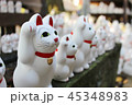 豪徳寺 招き猫03 45348983