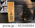 豪徳寺 招き猫01 45348984