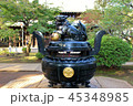 豪徳寺 狛犬01 45348985