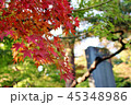 豪徳寺 紅葉01 45348986