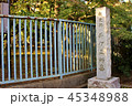 豪徳寺 井伊直弼 墓 45348988