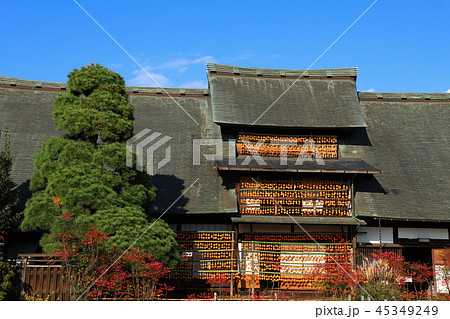 枯露柿(ころ柿)と古民家　甘草屋敷 45349249