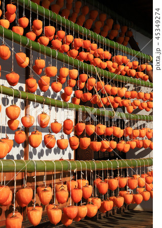 枯露柿(ころ柿)と古民家　甘草屋敷 45349274