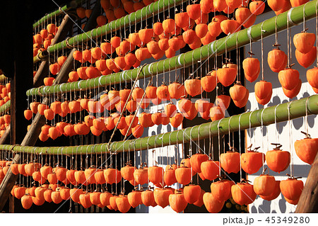 枯露柿(ころ柿)と古民家 甘草屋敷 枯露柿(ころ柿)と古民家 甘草屋敷 45349280