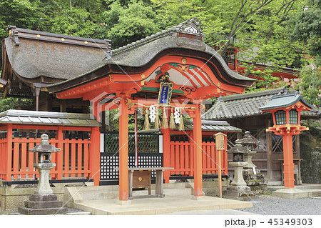 京都 伏見稲荷大社末社 玉山稲荷社 45349303