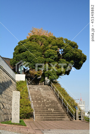 横浜・本覚寺 横浜・本覚寺 45349862