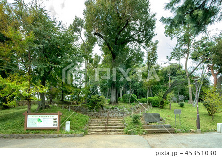 世田谷区立世田谷城址公園 世田谷区立世田谷城址公園 45351030