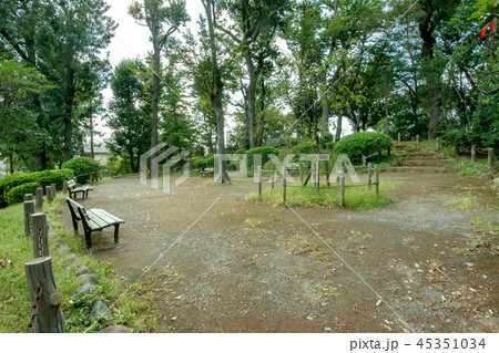 世田谷区立世田谷城址公園 世田谷区立世田谷城址公園 45351034