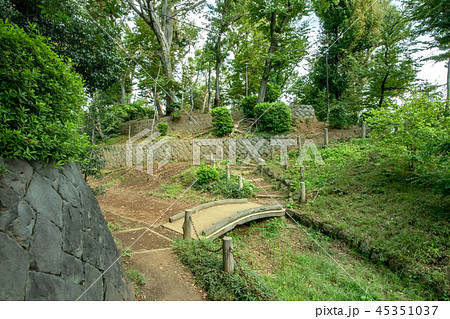 世田谷区立世田谷城址公園 世田谷区立世田谷城址公園 45351037