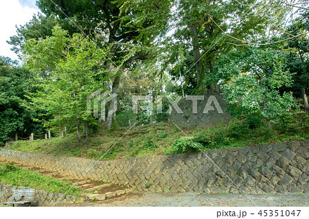 世田谷区立世田谷城址公園 世田谷区立世田谷城址公園 45351047
