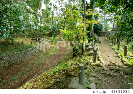 世田谷区立世田谷城址公園 世田谷区立世田谷城址公園 45351050