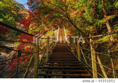 大柳川渓谷　紅葉 45351051