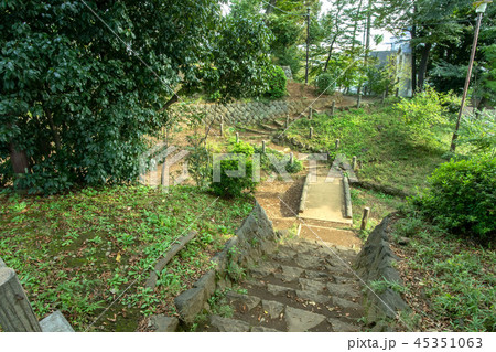 世田谷区立世田谷城址公園 世田谷区立世田谷城址公園 45351063