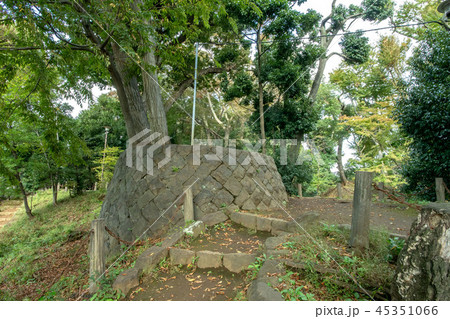世田谷区立世田谷城址公園 世田谷区立世田谷城址公園 45351066